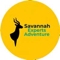 Tanzania Travel Company